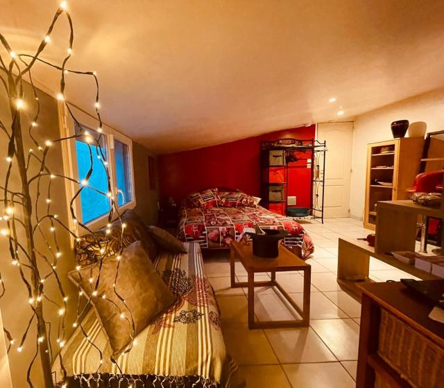 Résidence CAENEE, le dépaysement Naturiste en été avec l'atypique studio climatisé "vintage" en sous pente, sa "paillote" avec jacuzzi, entouré de verdure, planchagrill, transats, vélos gratuits, wifi 5G, Travel Proud LGBTQI, chiens admis