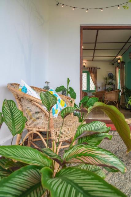 Gregory House Hostel