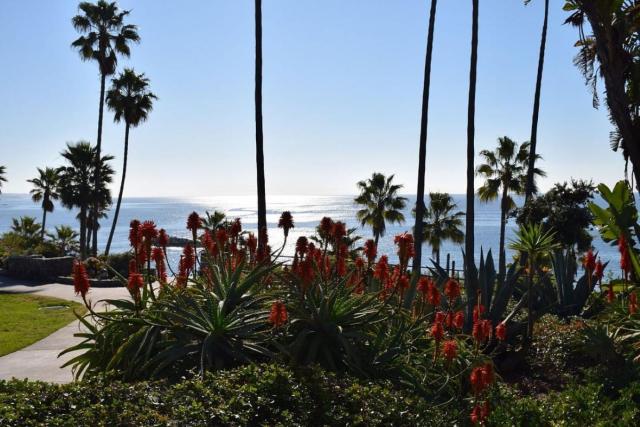 Laguna Shores Studio Suites