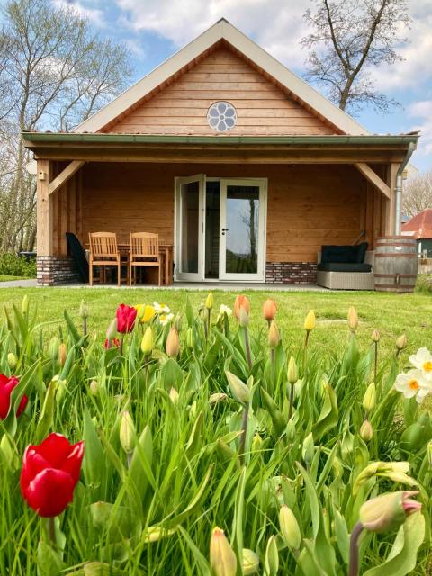 Lodges near the Rhine - Sustainable Residence