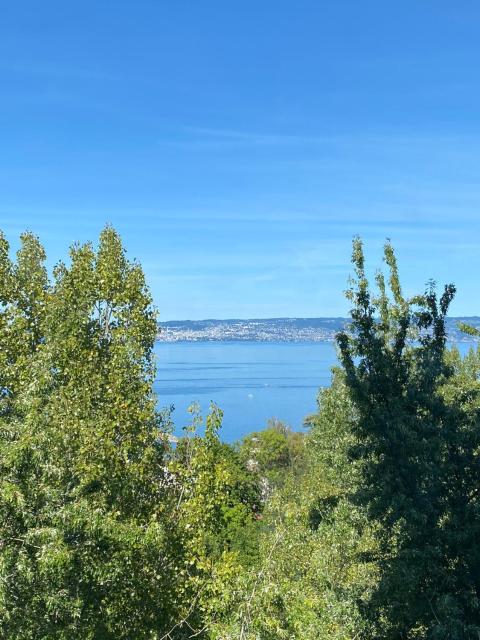 Vue Lac, Central et Contemporain