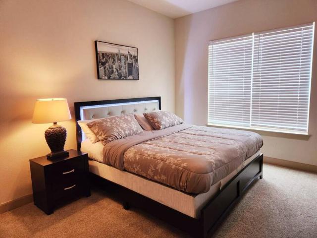 Home felt apartment- Med Center/NRG