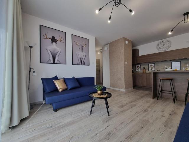 Q Apart Enter- 2 pokojowy klimatyzowany apartament przy Manufakturze z garażem Gratis, FV