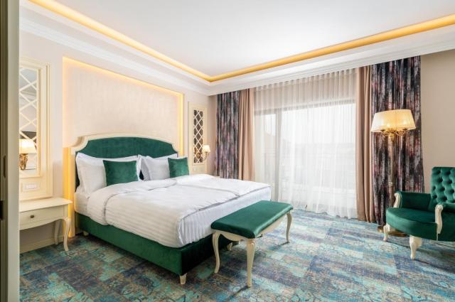 Hotel Leul de Aur
