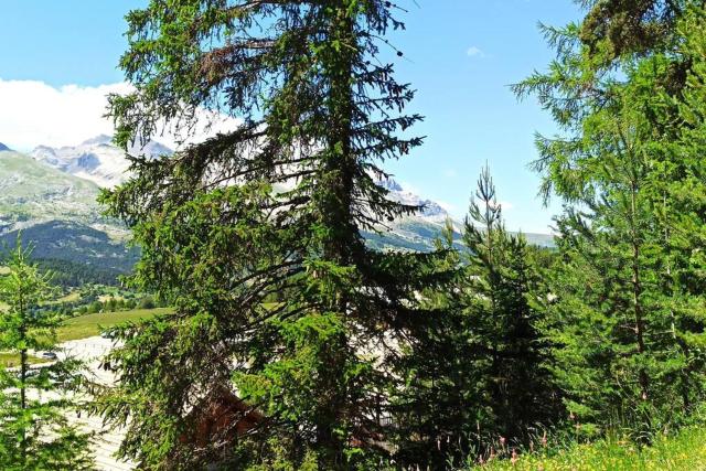 Appartement duplex au pied des pistes