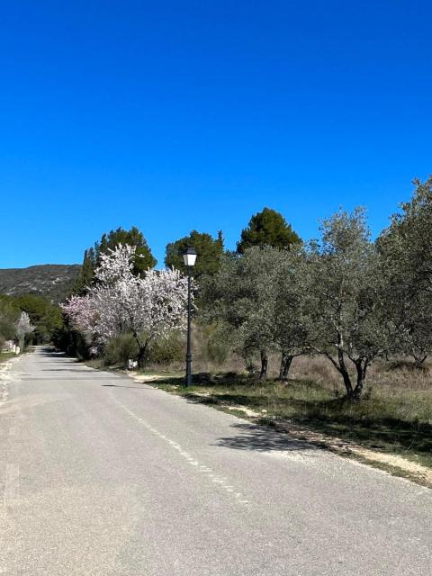 Les jardins de la Gravière à 5 mn de Lourmarin avec piscine privée
