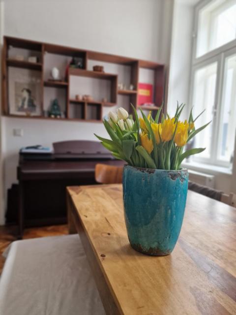4 seasons apartment