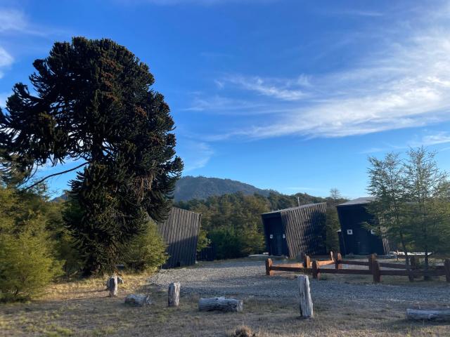 Araucanía Pura