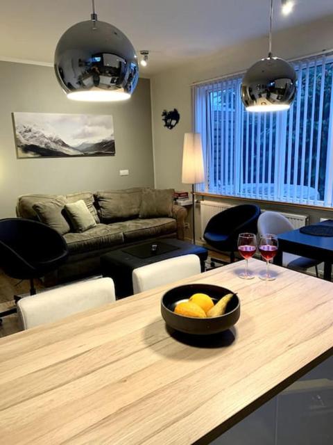 Cosy one bedroom apartment in Reykjavík