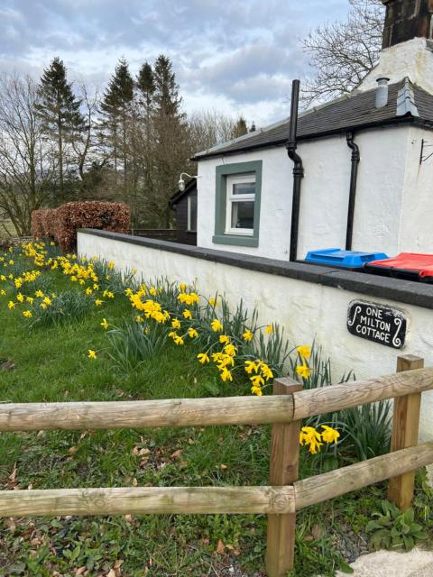 Cosy country cottage in rural location