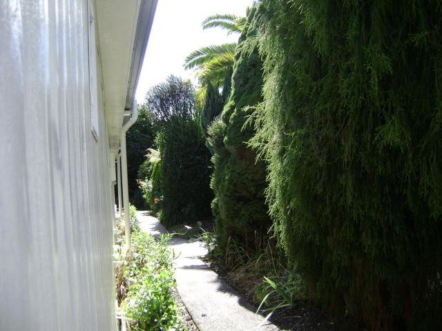 Mataki Motel