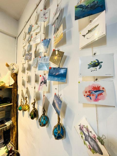 Ocean Diary Hostel