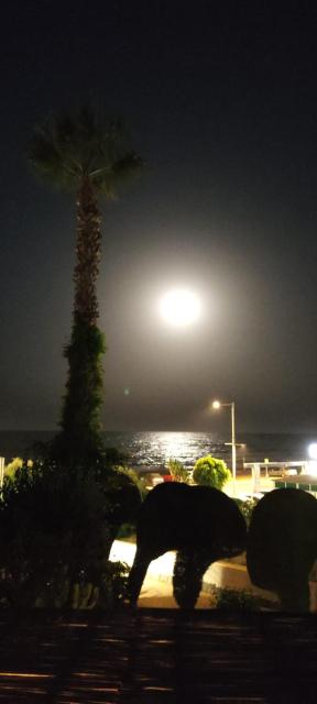 Apartamento a pie de playa - Mojacar