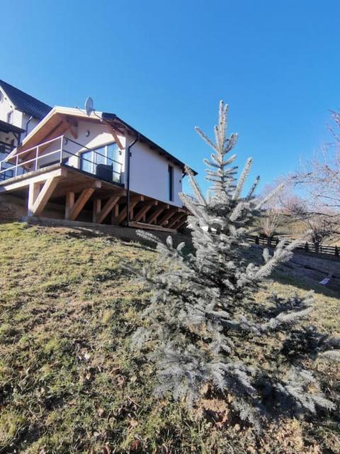 Cozy Cabin Bran