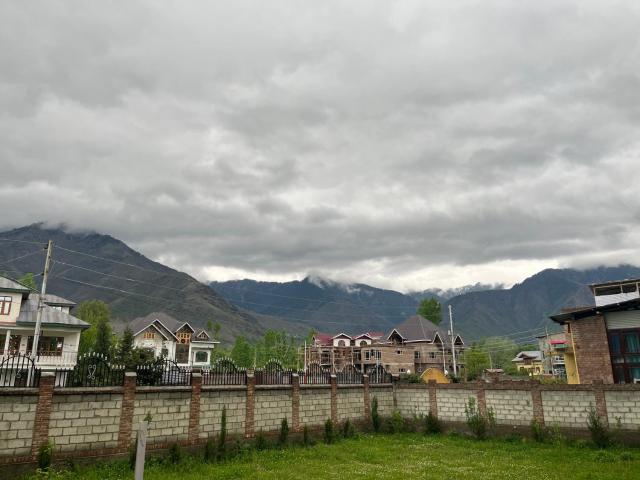 Tom and Jerry homestay Kashmir Srinagar