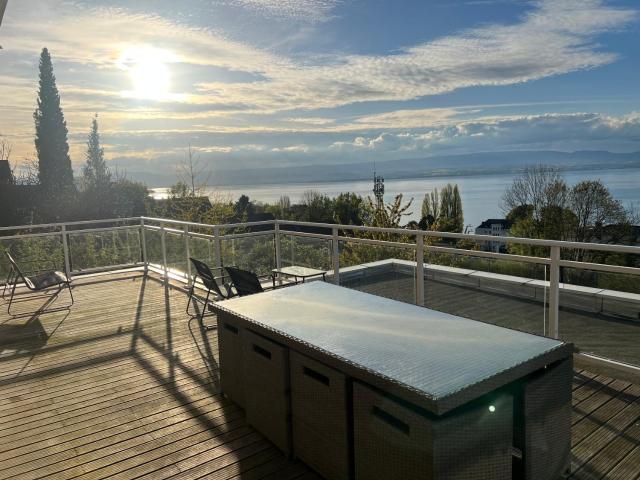 Léman Panoramique avec terrasse à deux pas du centre-ville