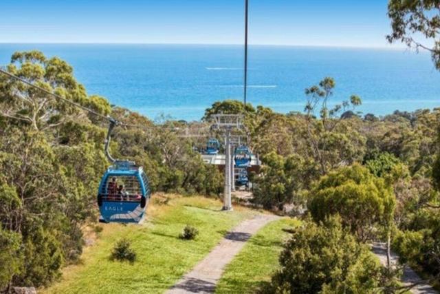 Set amongst the treetops of Arthurs Seat