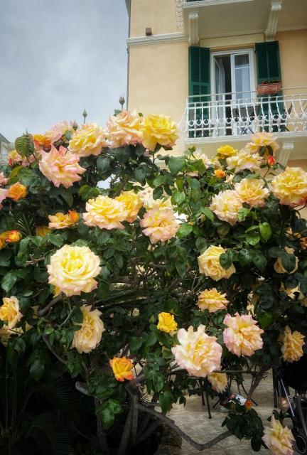 Hotel Villa Igea
