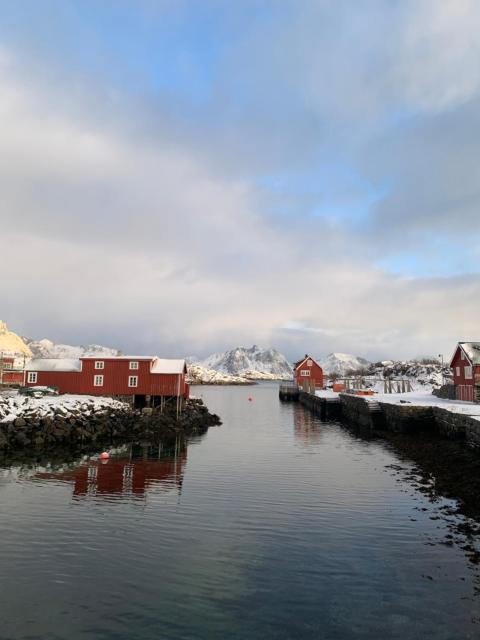 Hjellebua - Stamsund, i hjertet av Lofoten