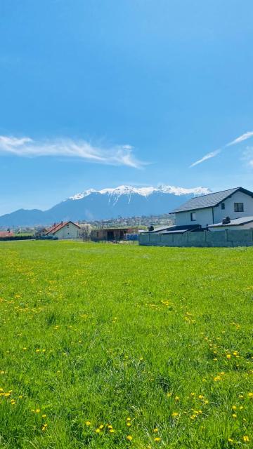 D&M Family Residence Bran 1
