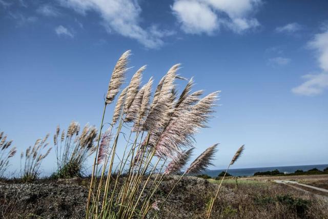 Ocean View Cottage