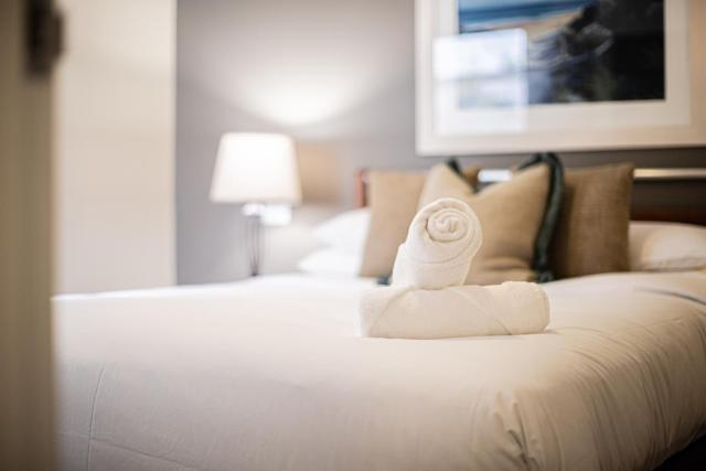 Prime 2BR Suite on Mounts Bay Road