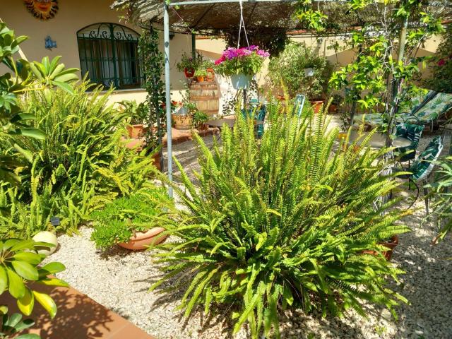 Bed and Breakfast Rosangela