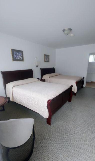 White Fang Motel