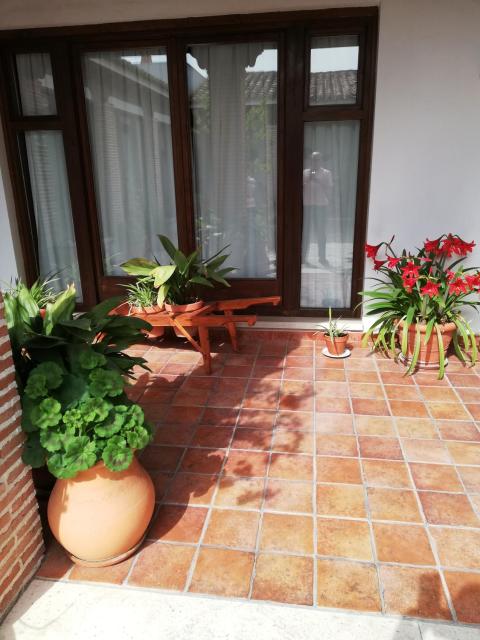Apartamentos La Barataria especial WARNER