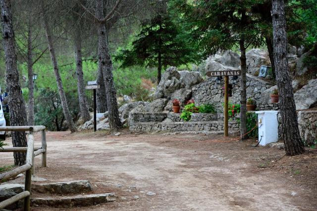 Camping TajoRodillo