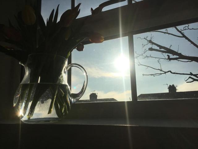 Brighton Boutique Garden Studio with Free Parking