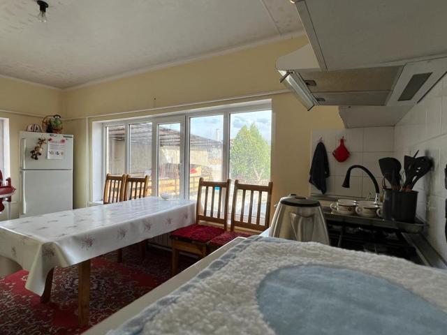 The Nest Hostel