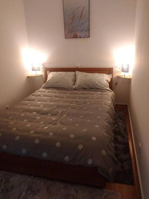 Vidi Zagreb