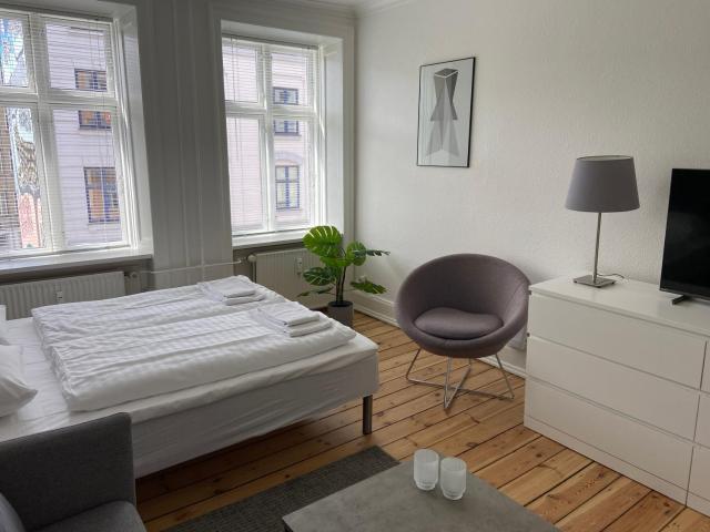 Vesterbro Apartments 315