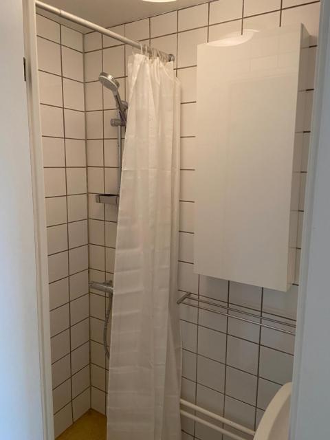 Nørrebro Apartments 450