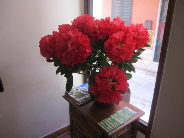 Bed & Breakfast Hostel H24