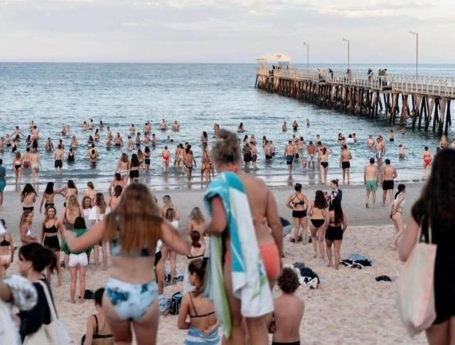 The Sea Haven 200m to Henley Beach