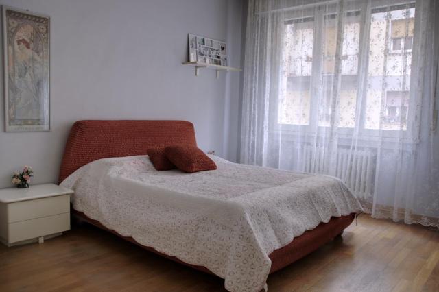 Grandma`s House