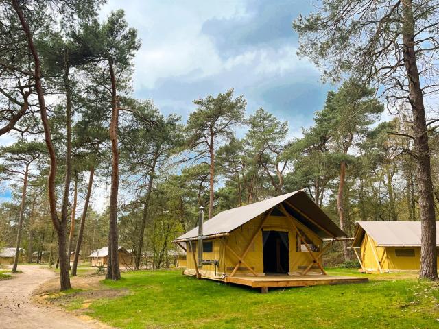 Huttopia De Veluwe