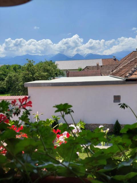 Casa Cristina