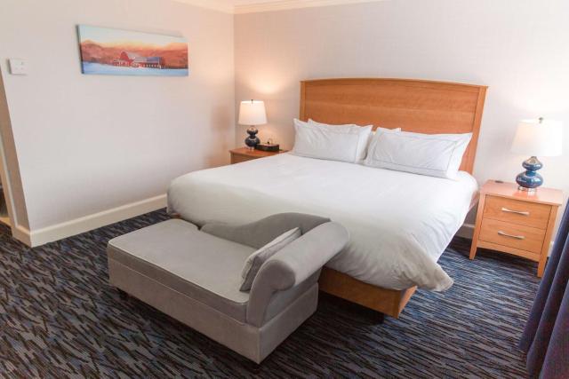 Capitol Plaza Hotel Montpelier Tapestry Collection by Hilton