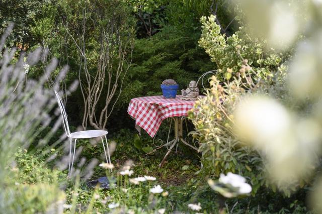 Le Jardin Yuccas - Cosy cottage in the Loir& Loire Valleys