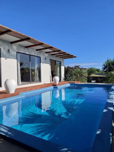 The Tropical Paradise