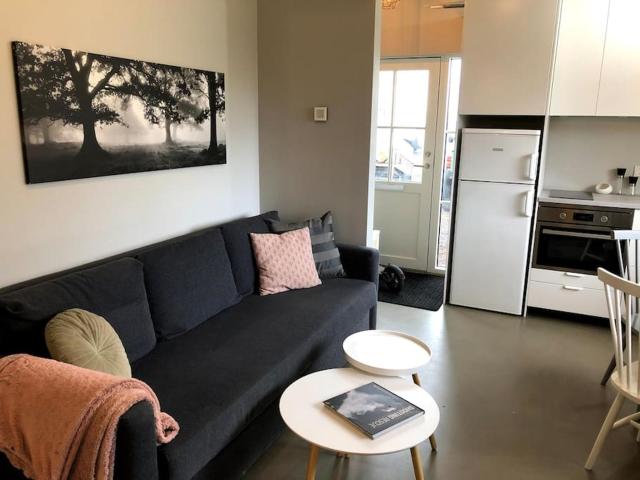 Modern Apartment Free Parking Near Reykjavik Center
