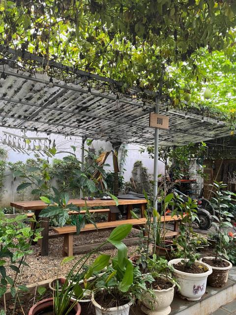 Asahi Luxstay - Homestay Đường Lâm Hostel