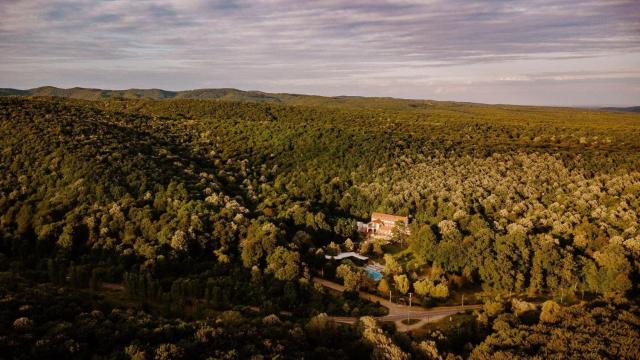 Hotel McPietroasa