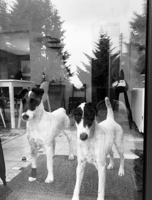 La Colline des Renards Chambres