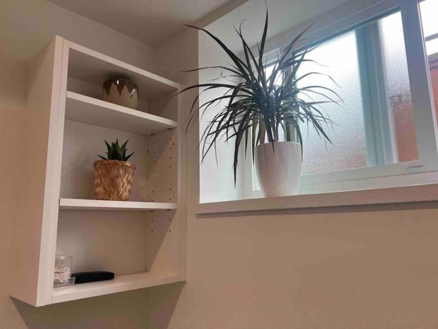 Newly Renovated Walkout Basement in Vancouver with Separate Entrance