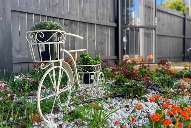 Kerridge Terrace - Old World Inner city Charm