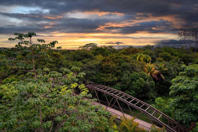Botanika Osa Peninsula, Curio Collection By Hilton